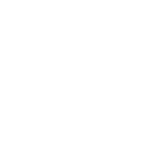 Taekwondo